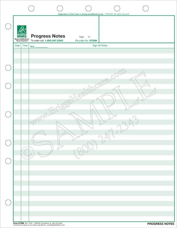 Progress Notes (Maternal/Newborn Record System)